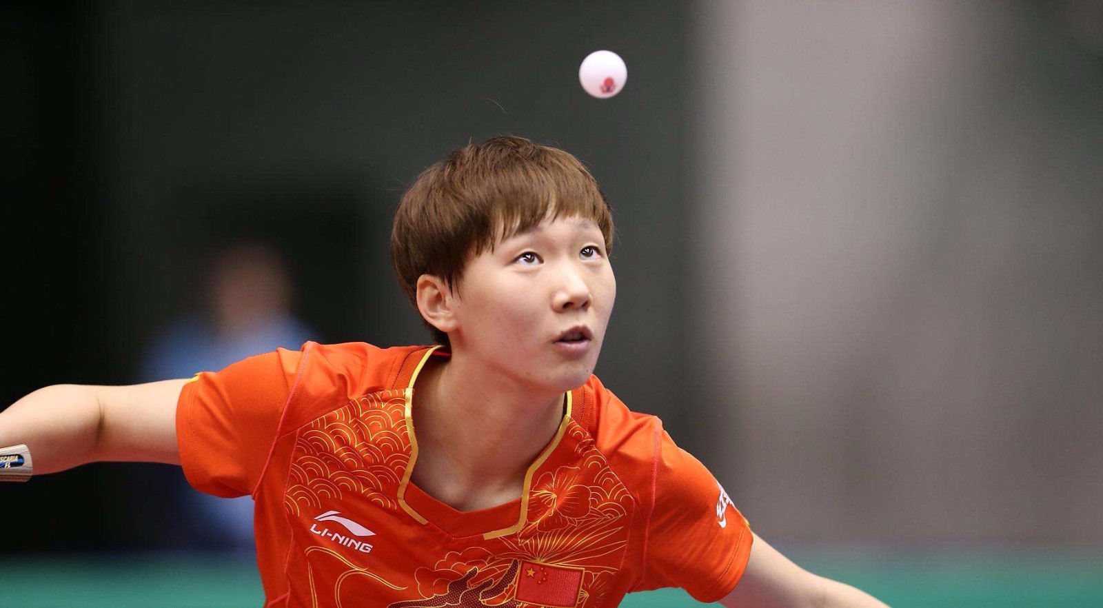 球迷可能会 球迷可能会