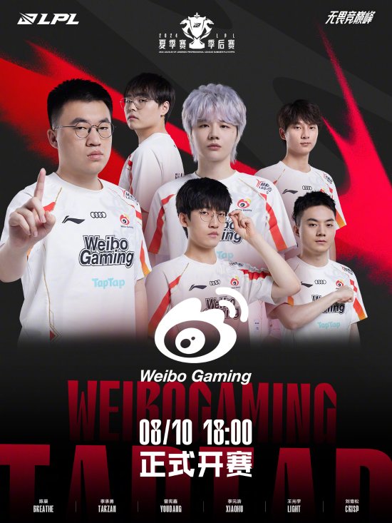 能力和组织 能力和组织